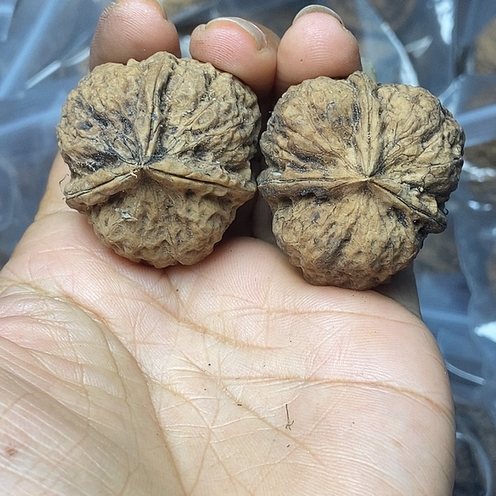 把件文玩核桃云南铁核桃基地21