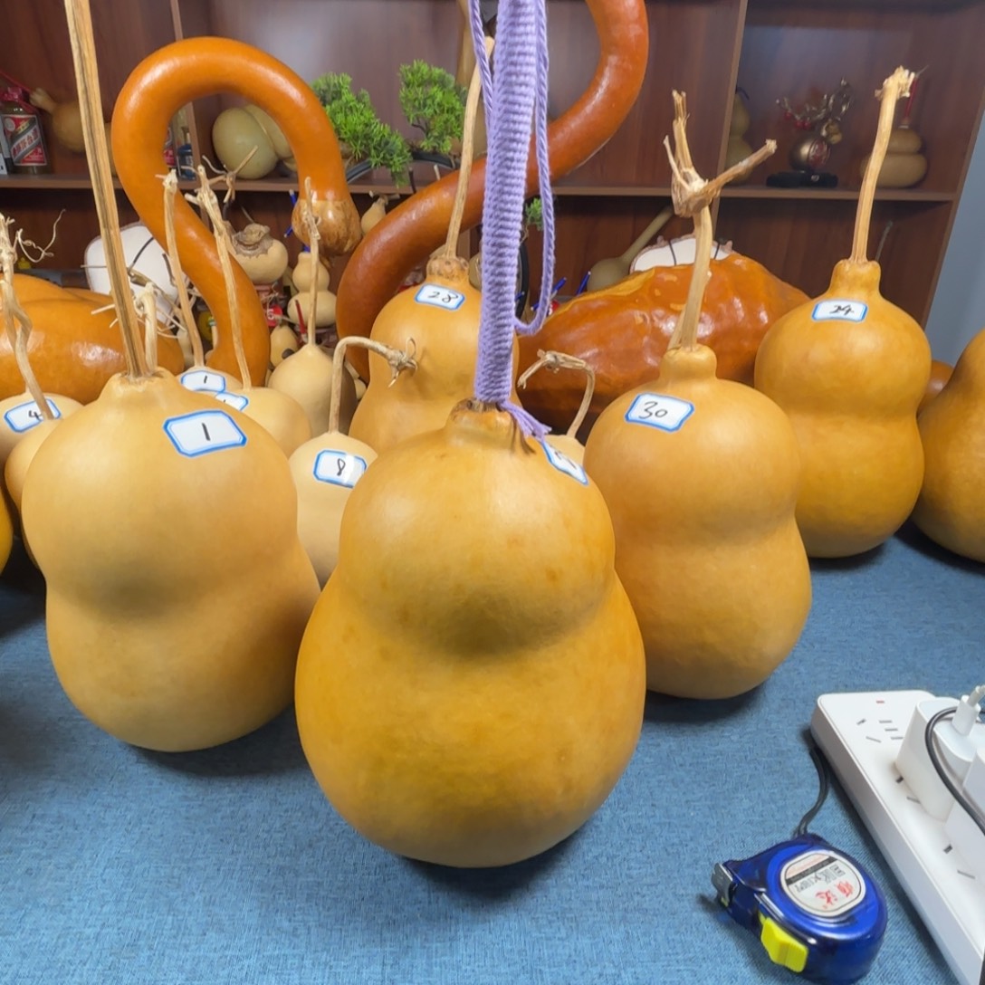 *****葫芦葫芦葫芦葫芦葫芦