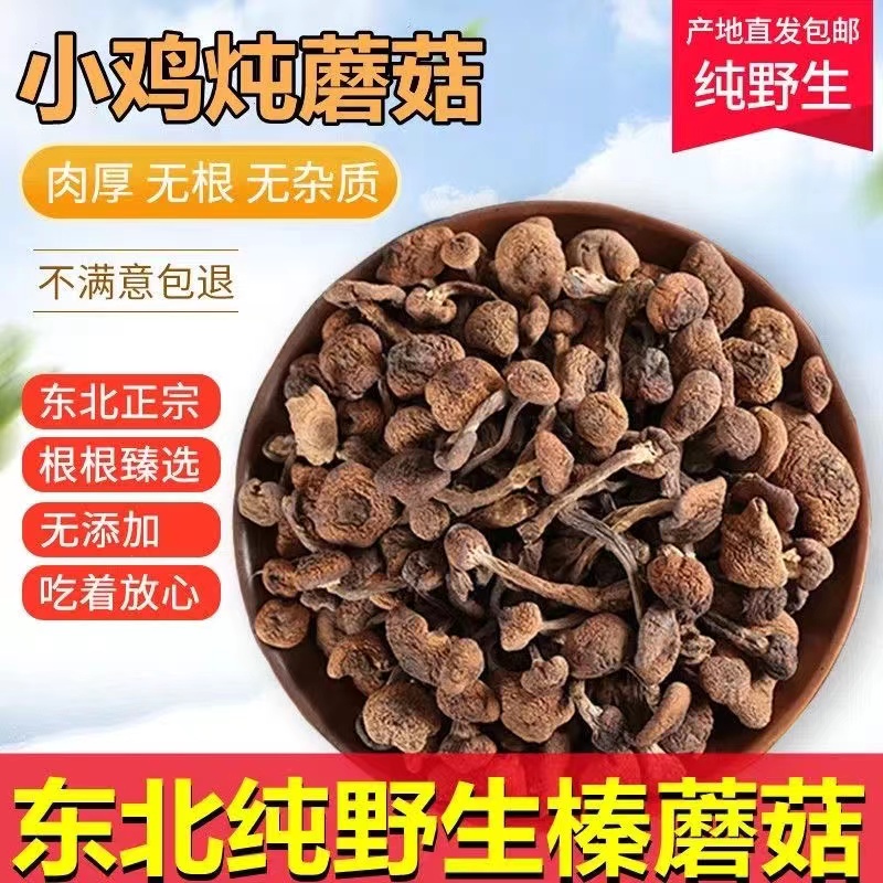 【精选榛蘑】干货无根鲜美深山精选榛蘑新货东北特产小鸡炖蘑菇