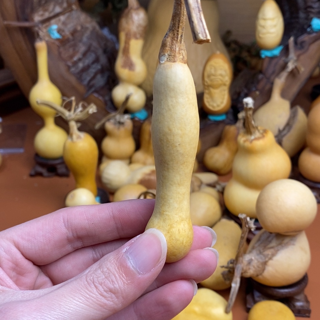 兔***离教练咯路途考虑教练咯