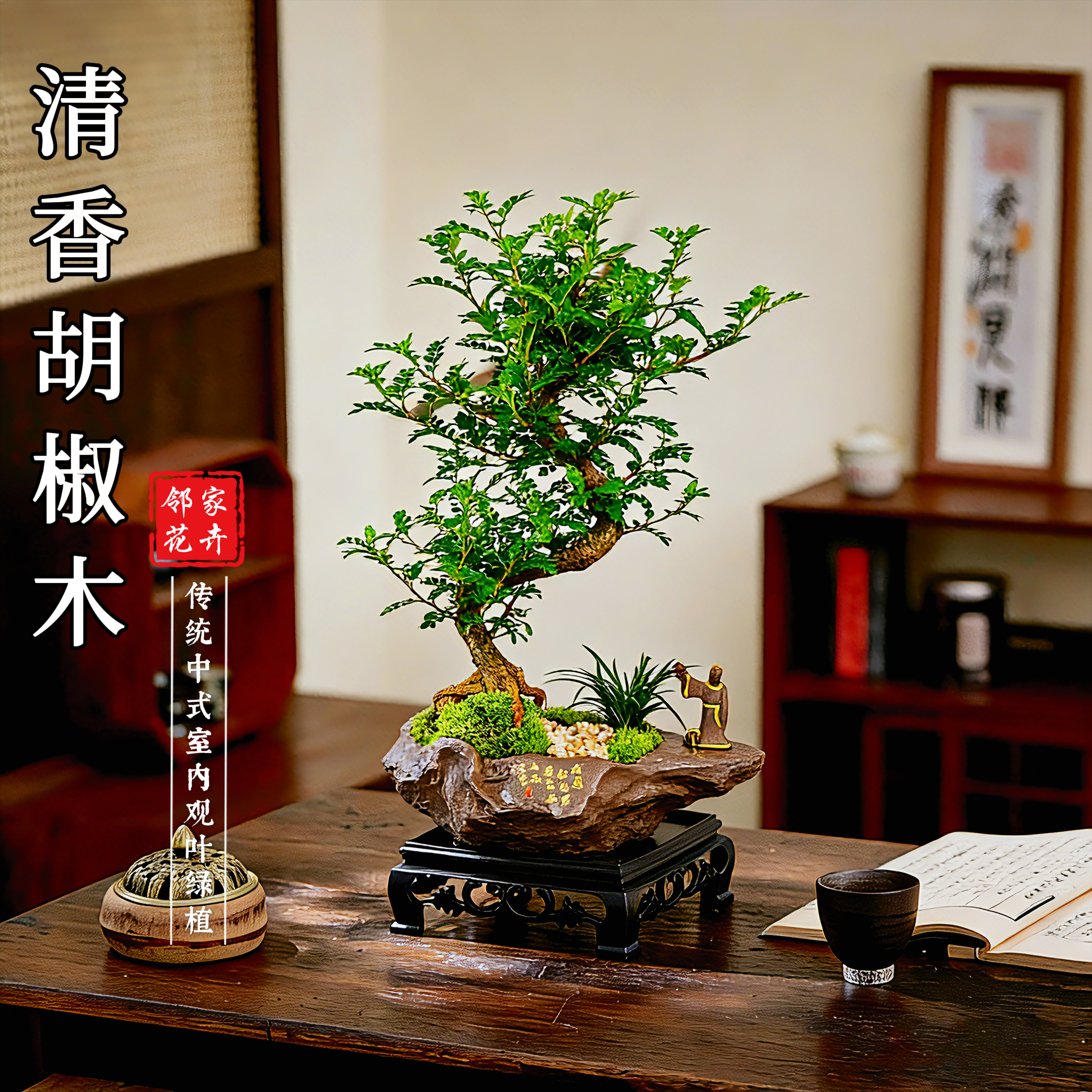 【S弯清香胡椒木】盆景室内好养盆栽绿植美观茶室客厅阳台
