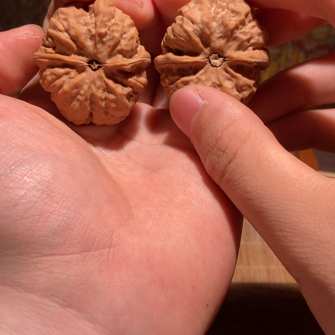 木***沙文玩核桃吊坠蛤蟆头D24