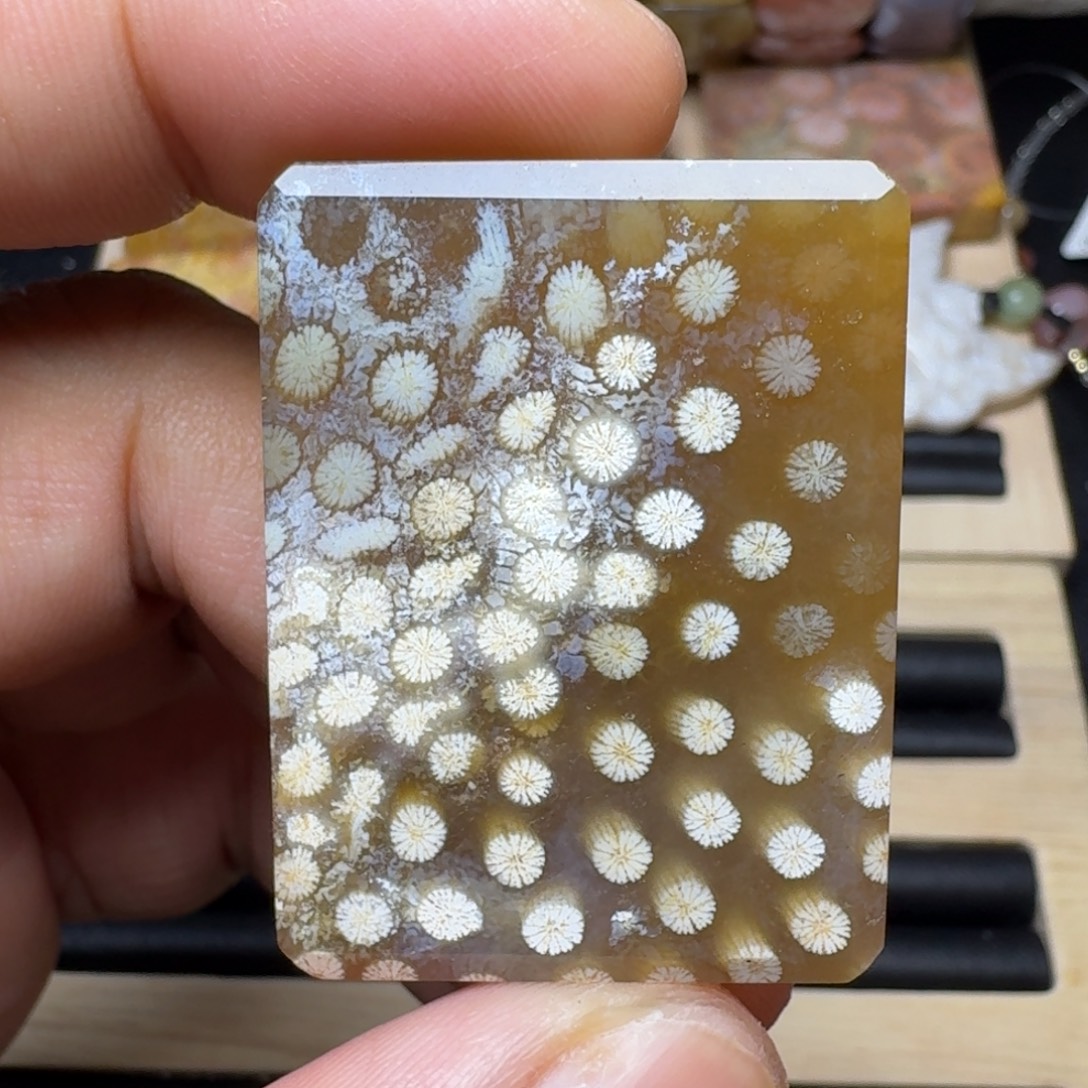 未镶嵌纯天然色有机玉石保真色硅化玉
