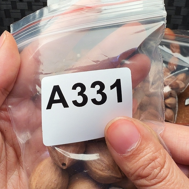 西***北手串/手链橄榄核橄榄