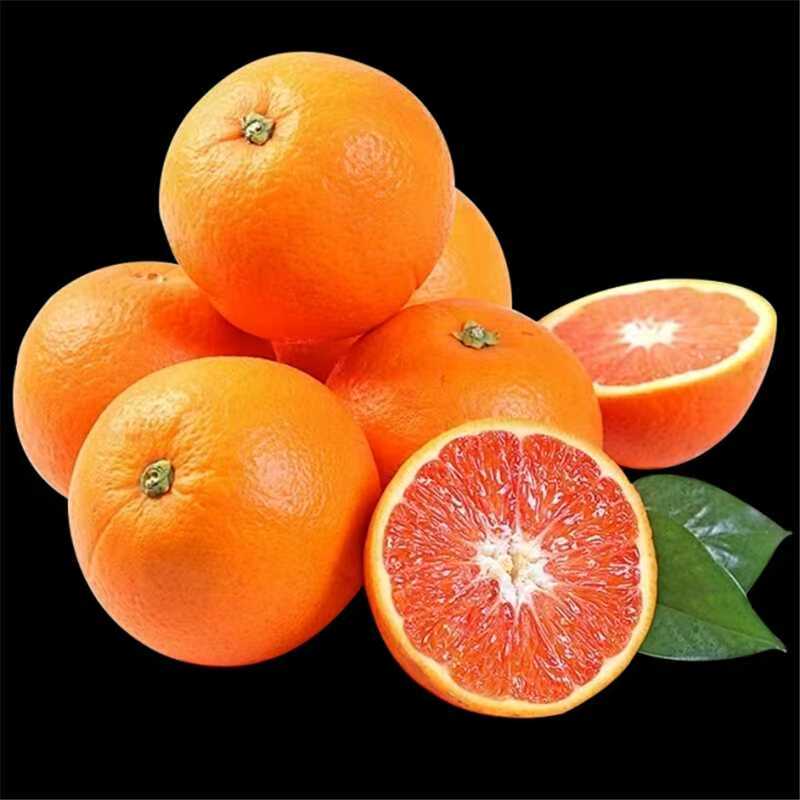 【带箱10斤】血橙新鲜正宗四川塔罗科血橙新鲜水果现摘先发自然生长