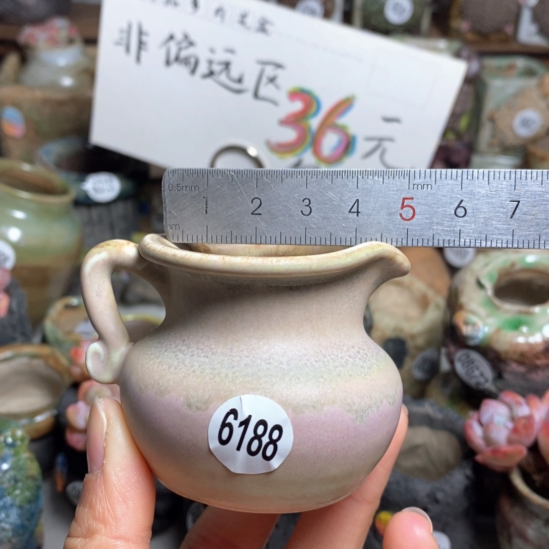 花盆拍5送一个小礼物