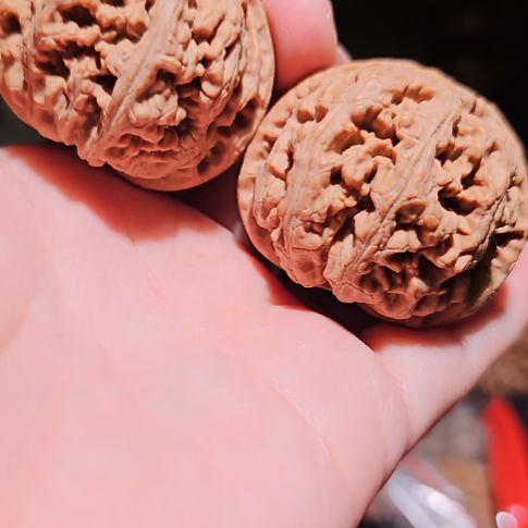 文玩核桃吊坠42+5粗