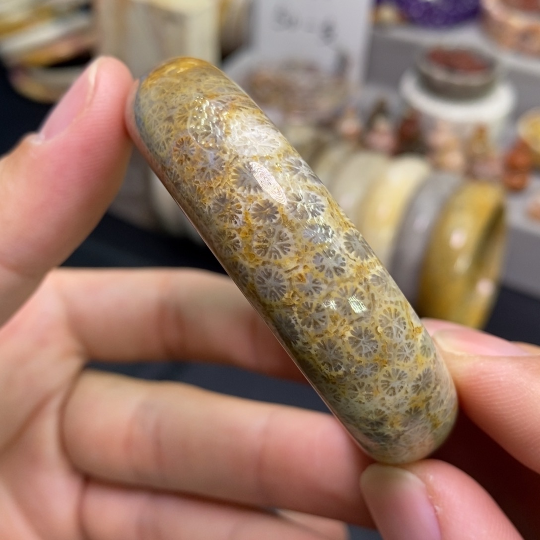 硅化玉未镶嵌手镯