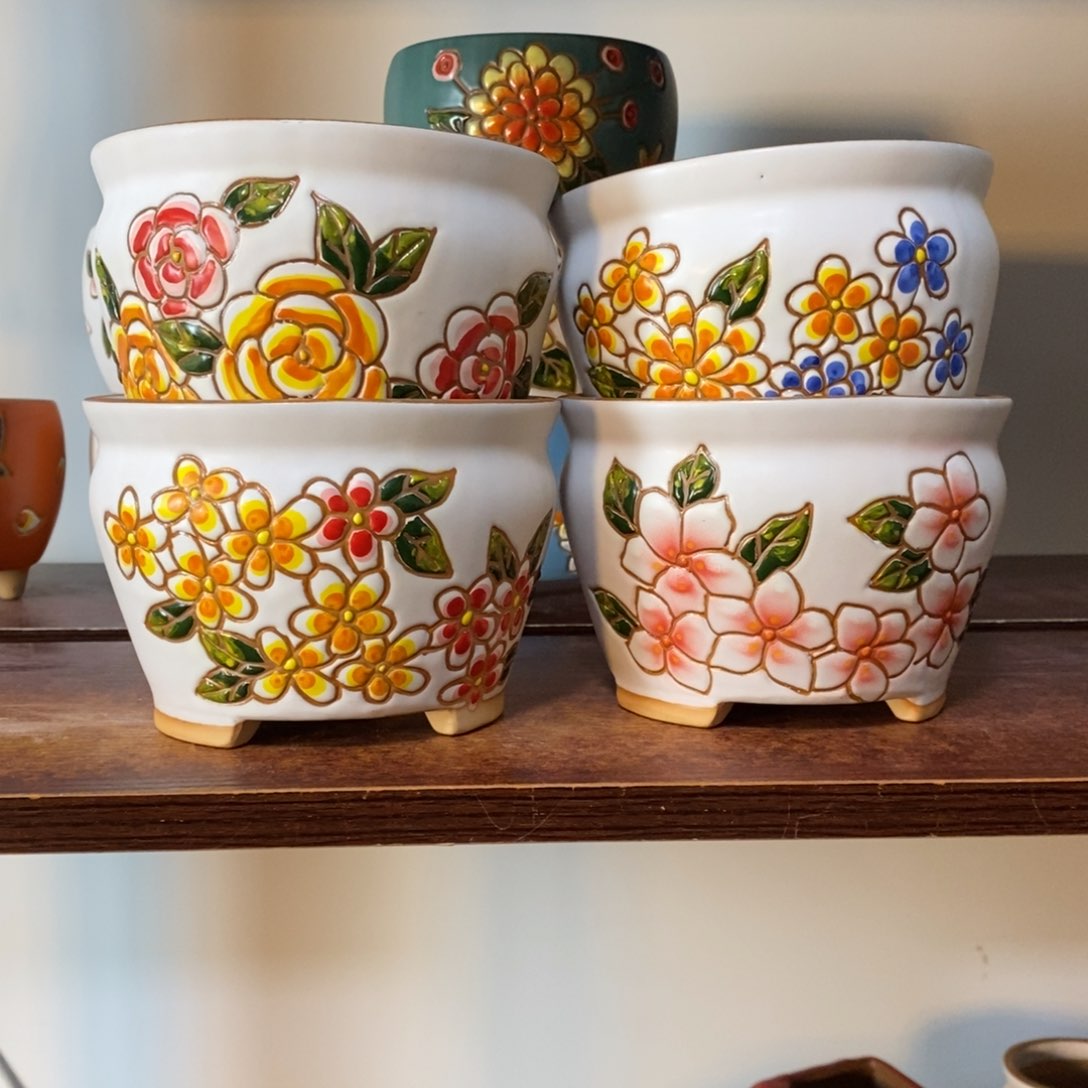 韩式多肉植物花色