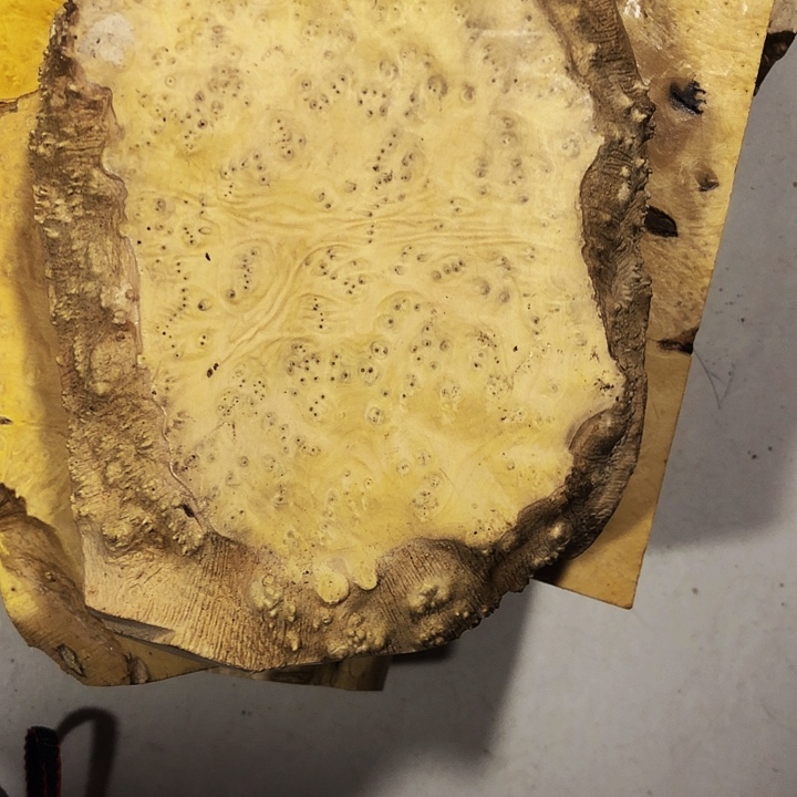 赤***海木木料木料木料木料