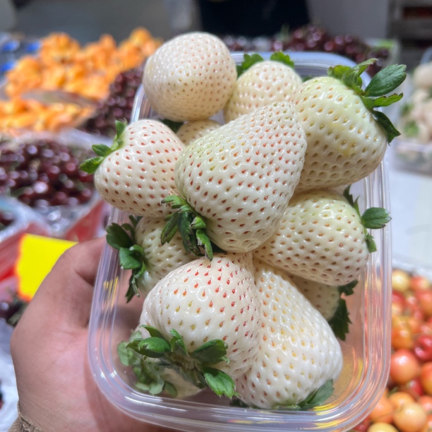 丹东【淡雪草莓】草莓香甜60元一斤山东省