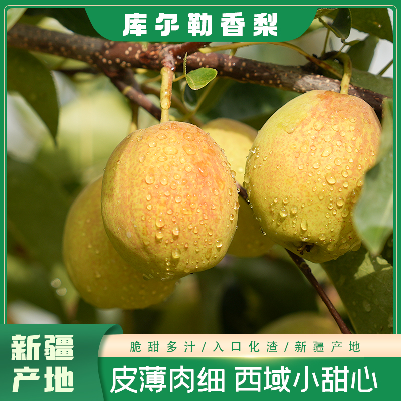 【顺丰次日达】正宗新疆库尔勒香梨西域小甜心皮薄脆甜多汁果肉细腻入口化渣绿色认证2斤-5斤