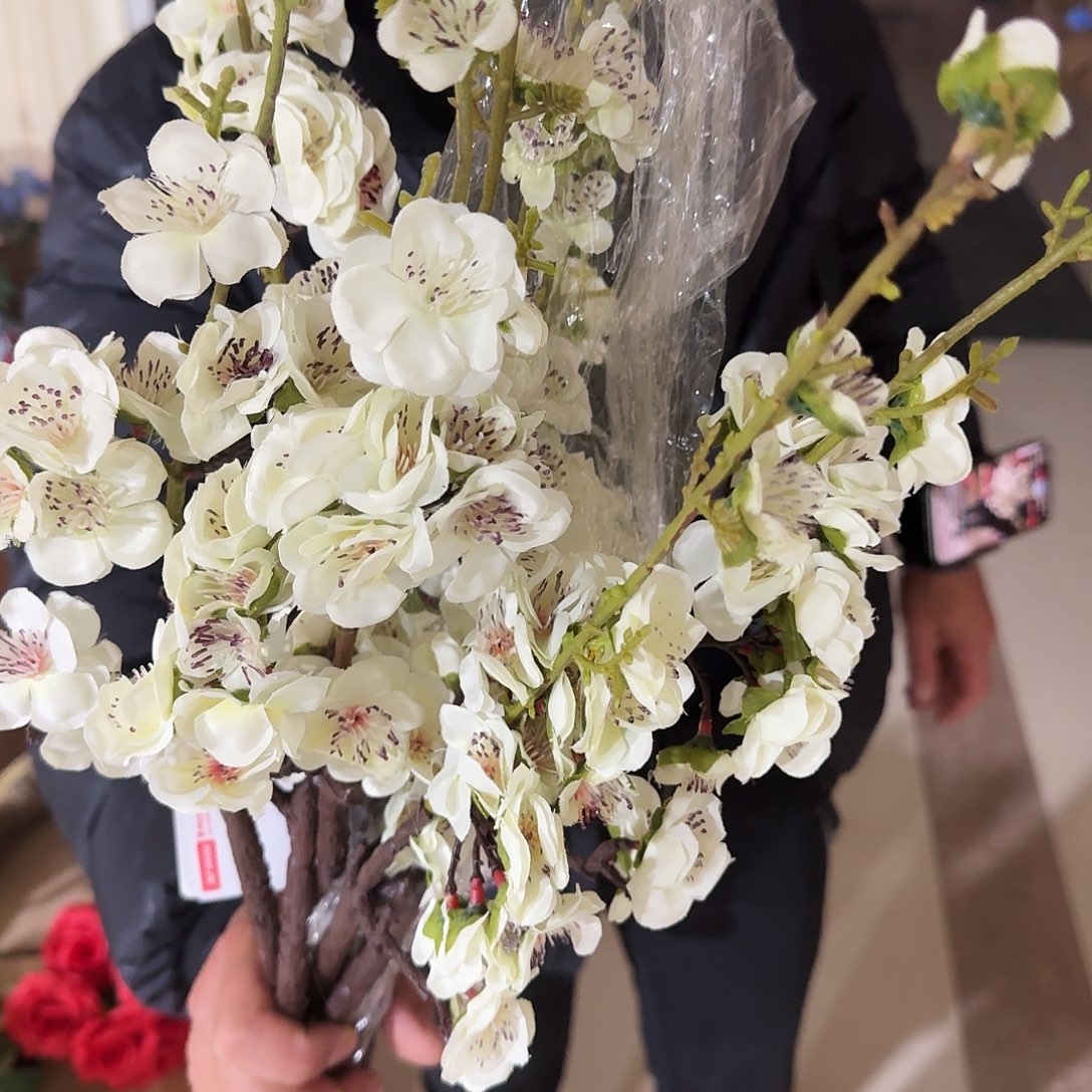 870号白色梅花10支