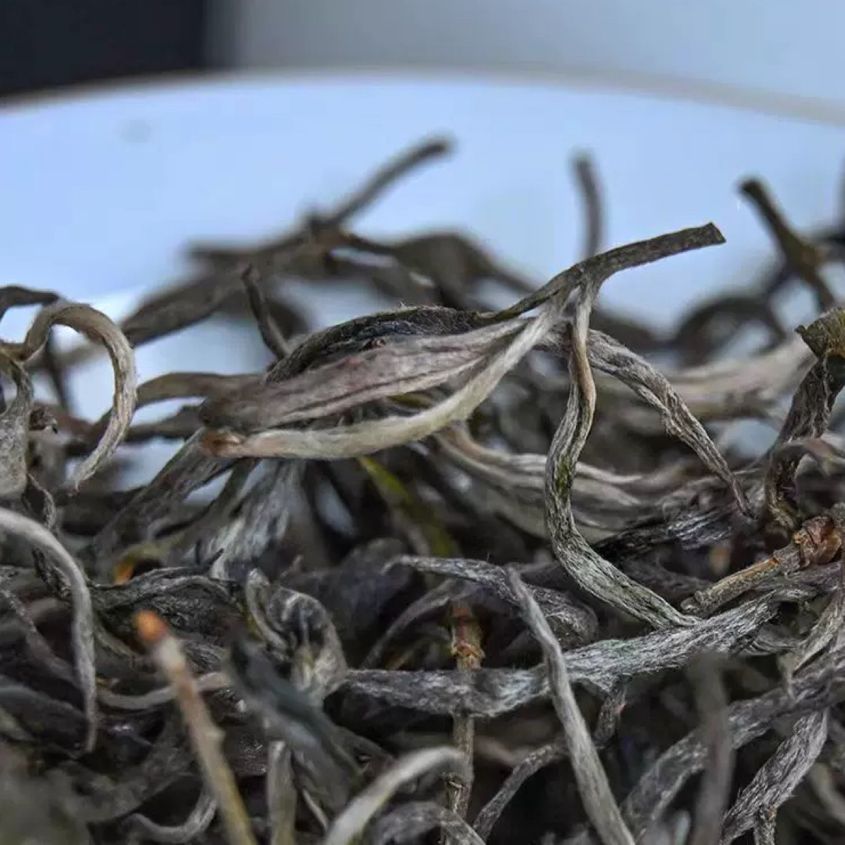 冰岛柳叶条200克生茶黄金条—云南普洱茶通用链接