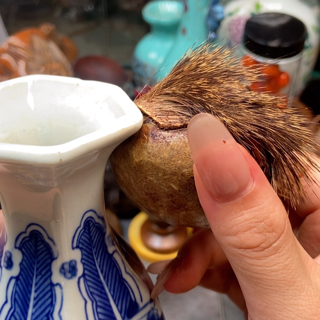 主播节目主持人和主持人的