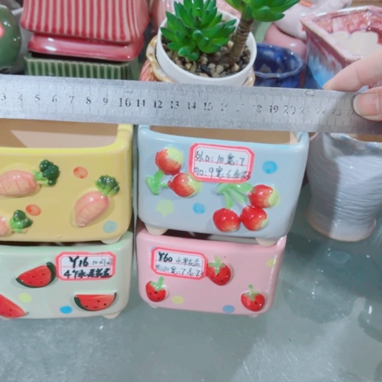 红陶11111111111111111111