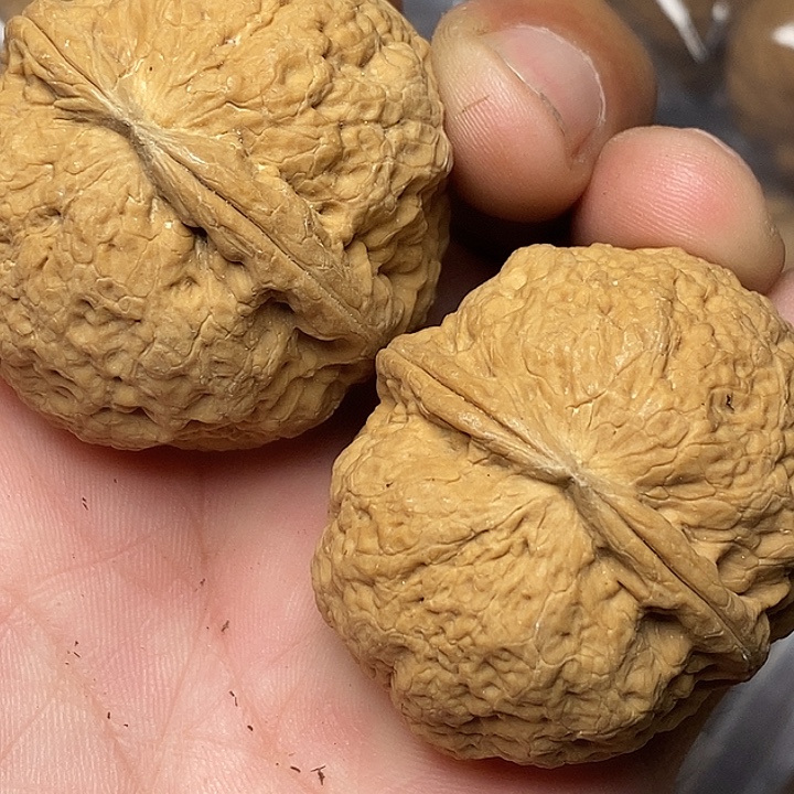 文玩核桃把件志成云铁文玩7