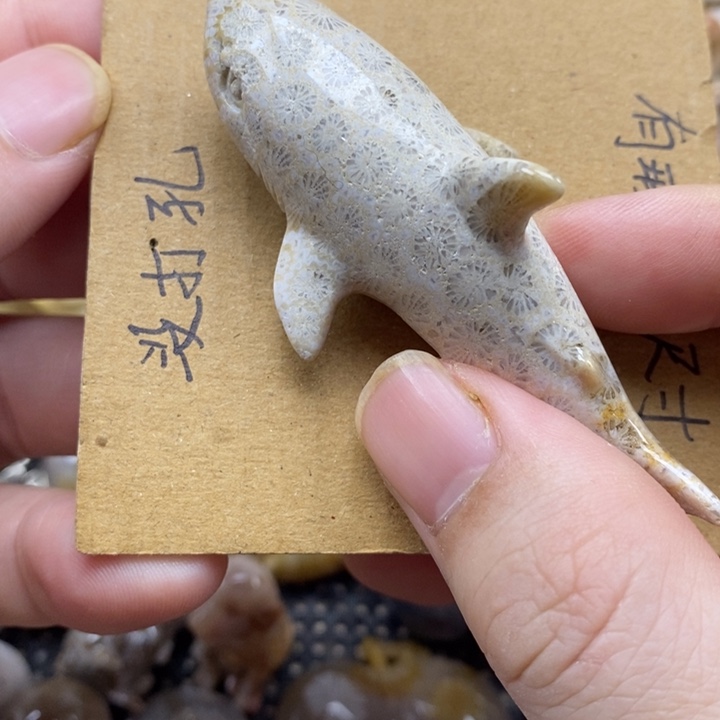 颈饰未镶嵌硅化珊瑚（珊瑚玉）有瑕