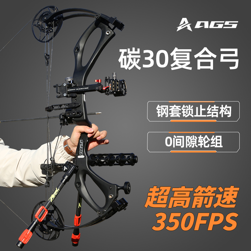 AGS射手碳30复合弓箭高精度射箭成年人狩猎非碳马赫修斯PSE射箭弓