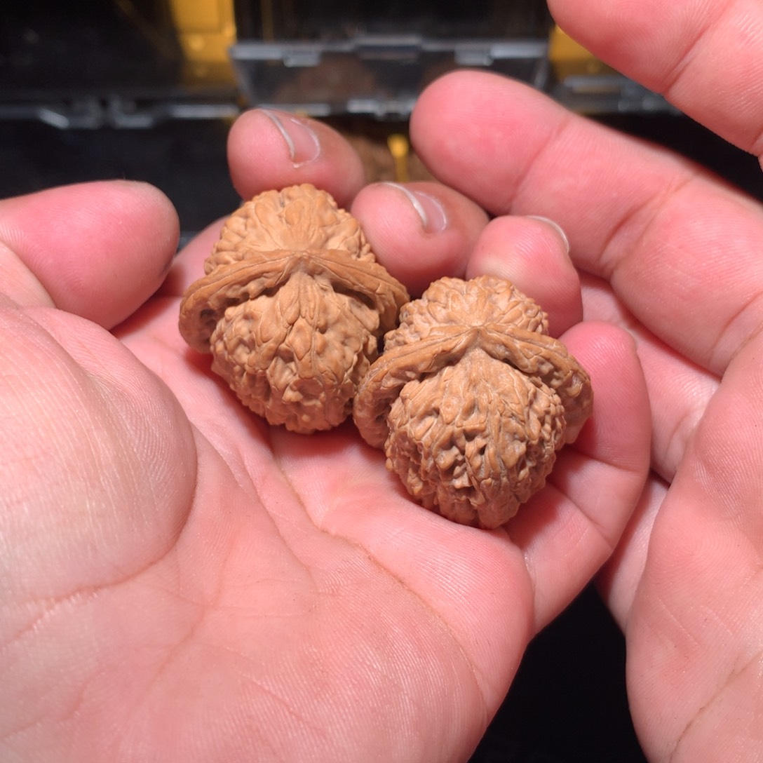 文玩核桃吊坠军白狮子 