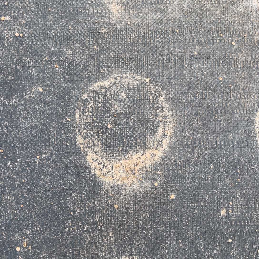 云舍多肉精选新年福利-保温箱