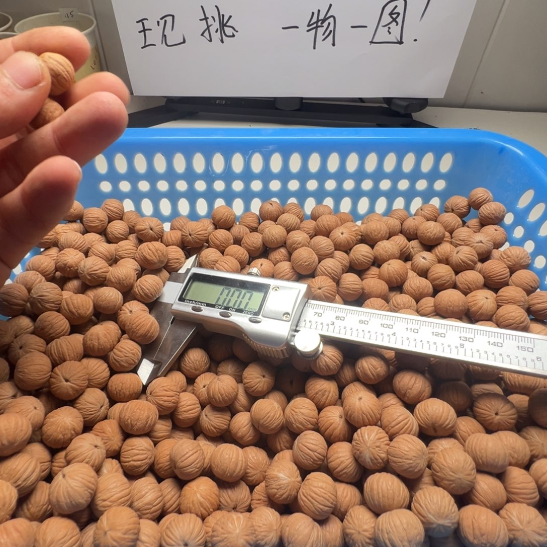 独***宠吊坠猴头核桃全品土豪14尺寸定制款