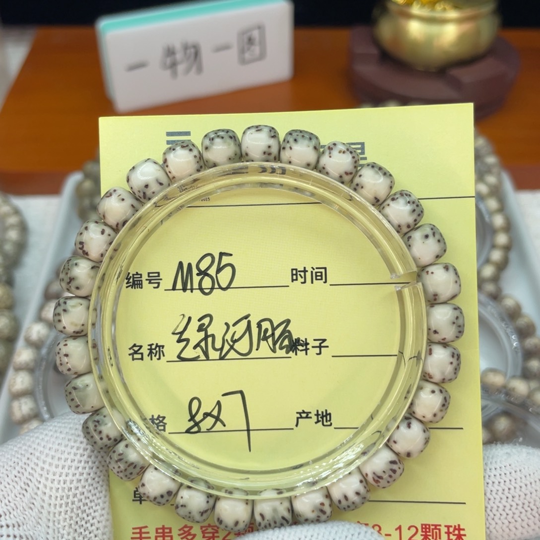 菩提籽类M绿河豚，