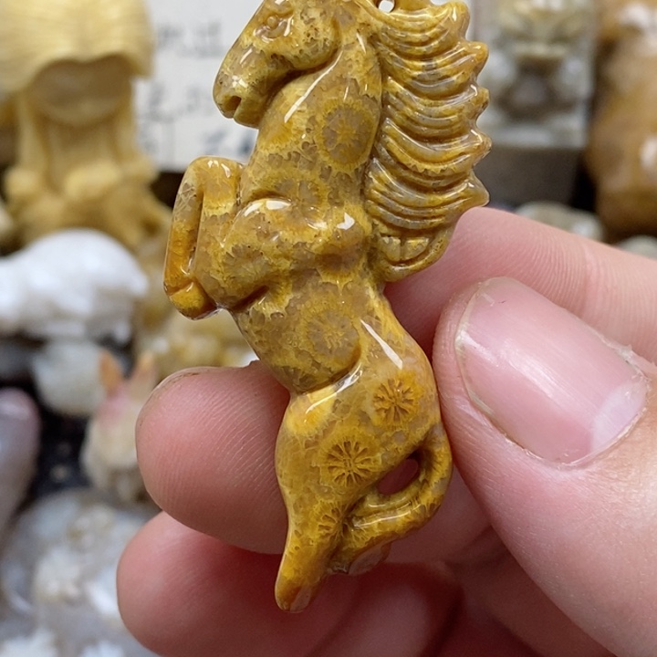 颈饰未镶嵌硅化珊瑚（珊瑚玉）