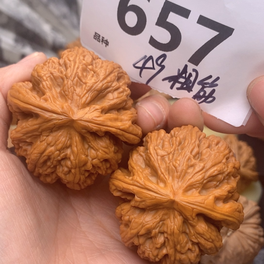 文玩核桃把件657号49粗筋