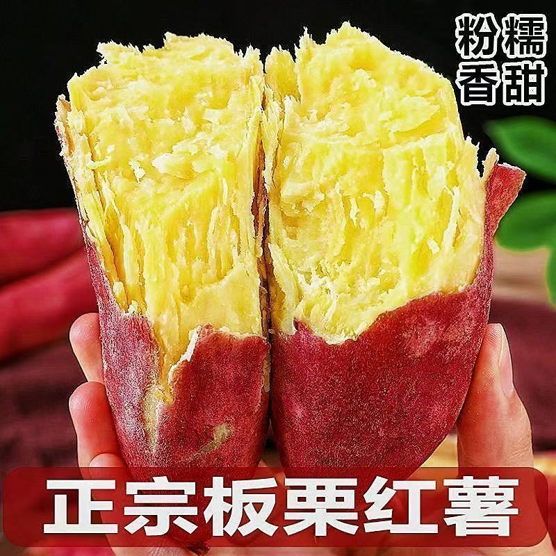正宗红皮黄心板栗红薯新鲜现挖粉糯香甜无筋无丝