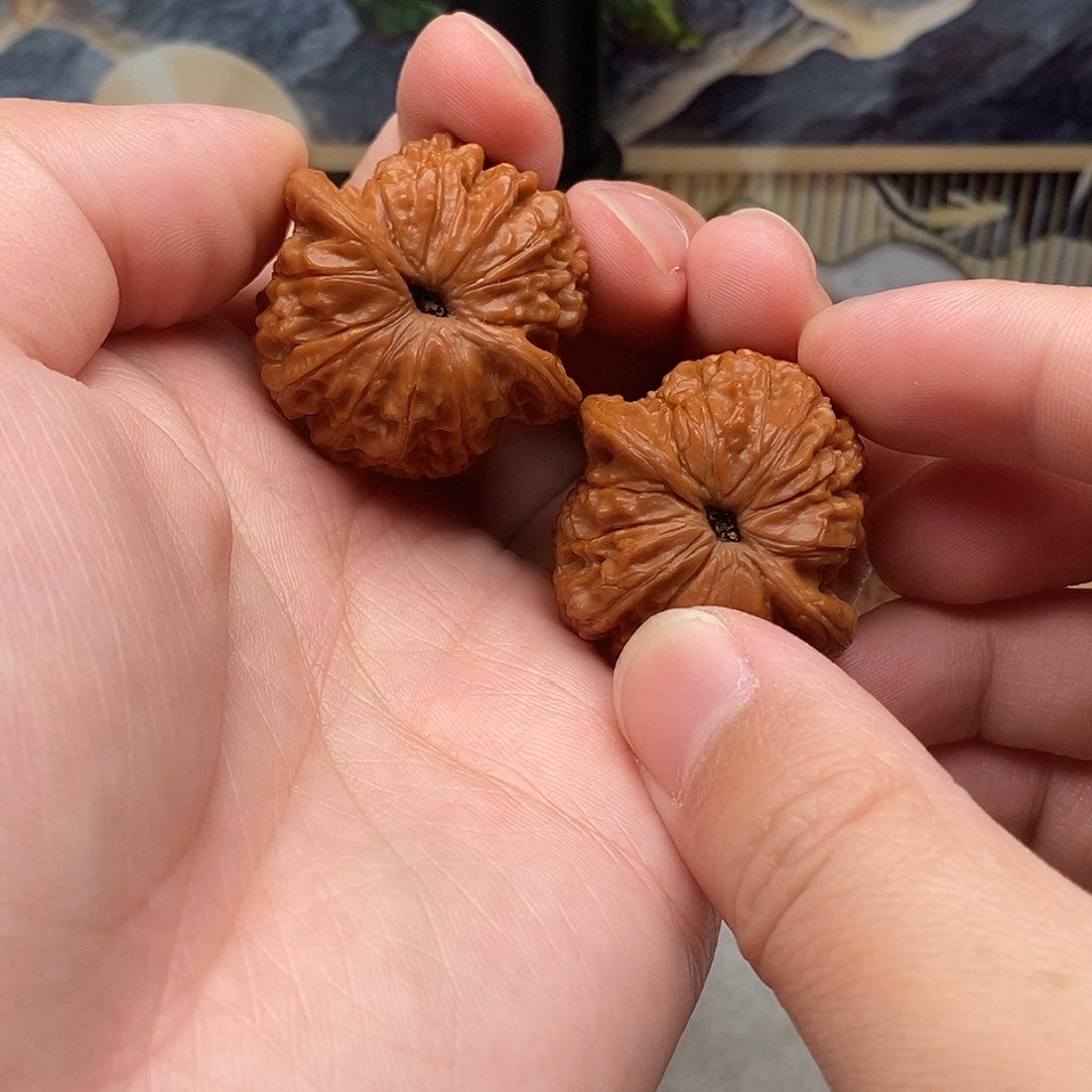 G***生35尺寸血麒麟精修打底