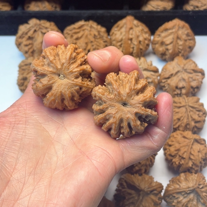 文玩核桃把件享*文玩城的小伙伴