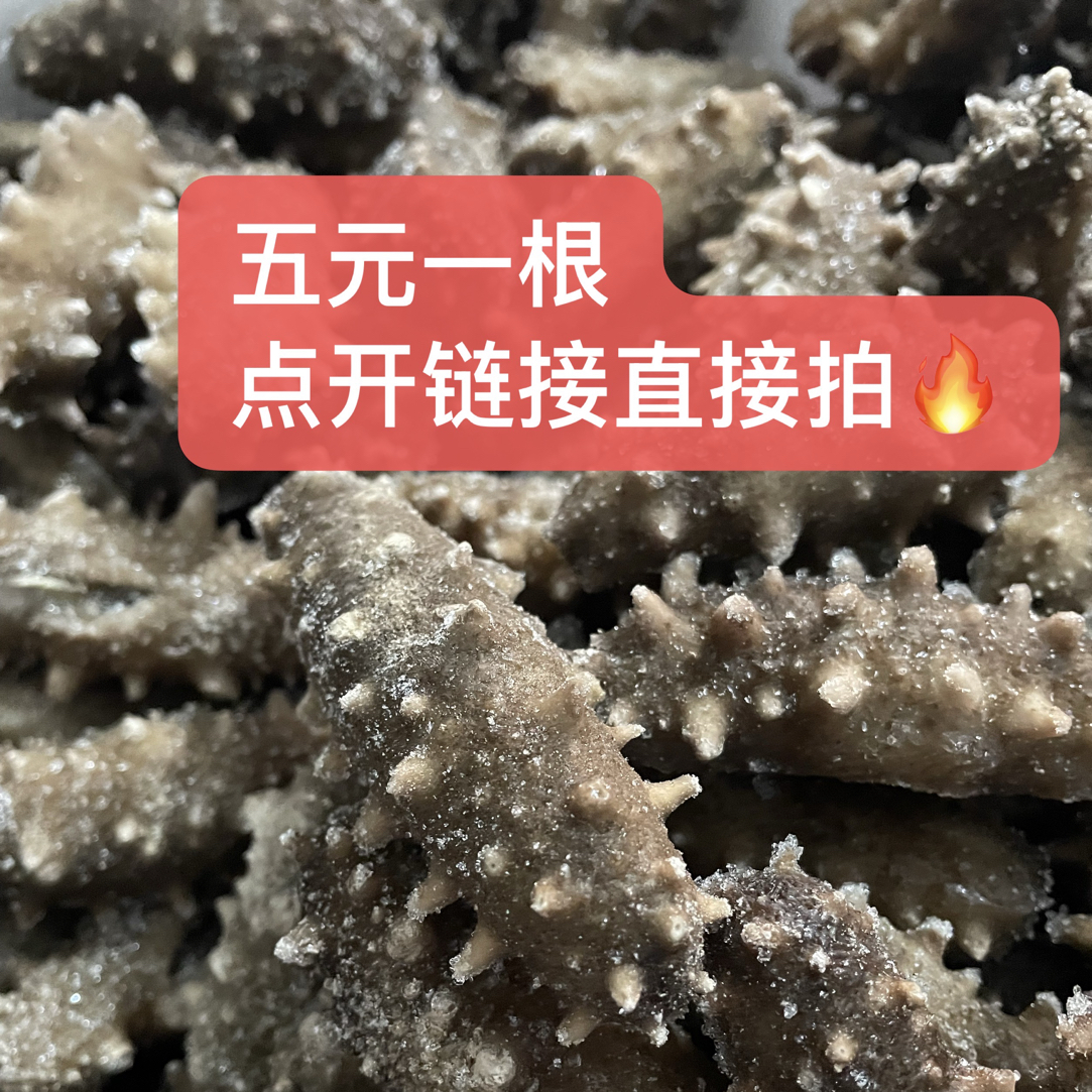 【口感Q弹】五元一根解冻即食海参 顺丰包邮 大连海参