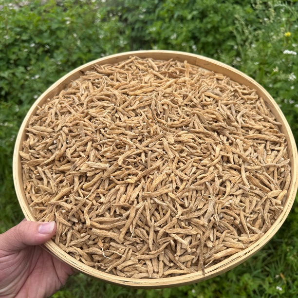 西藏波密麦冬精选