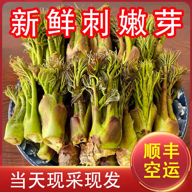 2025年头茬刺嫩芽东北辽宁山野菜精选刺嫩芽