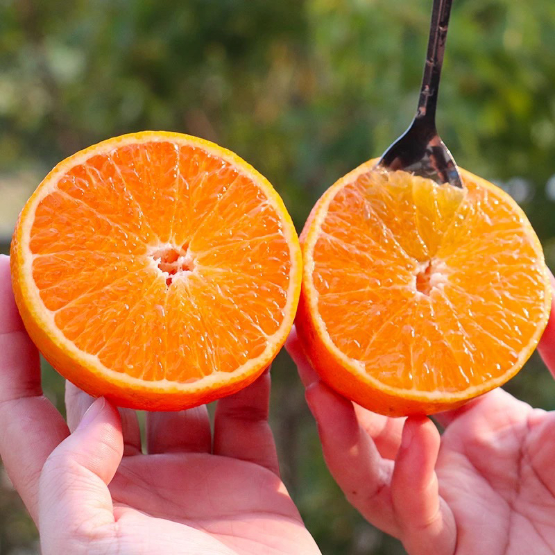 四川眉山爱媛38号果冻橙新鲜应季水果手拨橙细腻无籽无渣