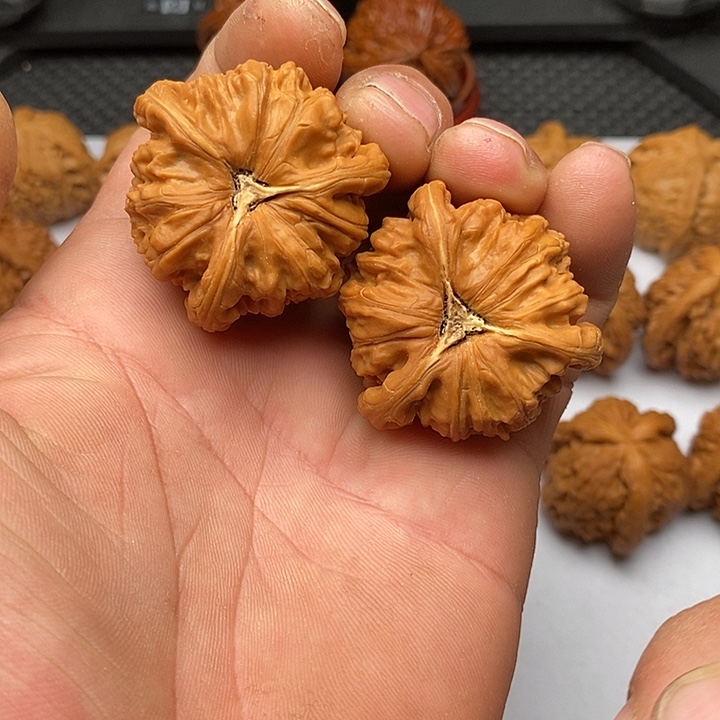 博***博核桃手串/手链拼接白狮子9