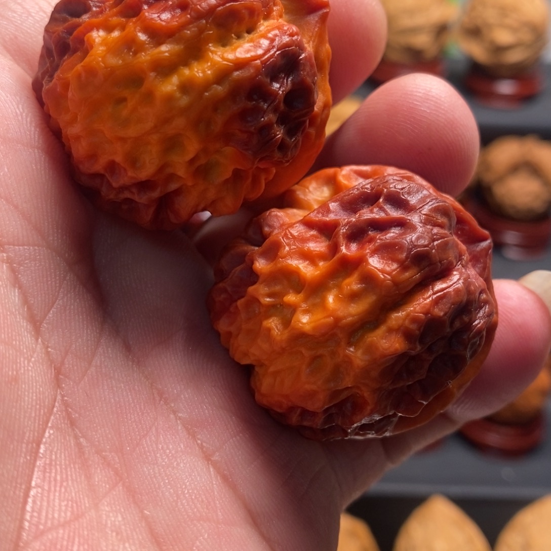文玩核桃吊坠红珊瑚40尺