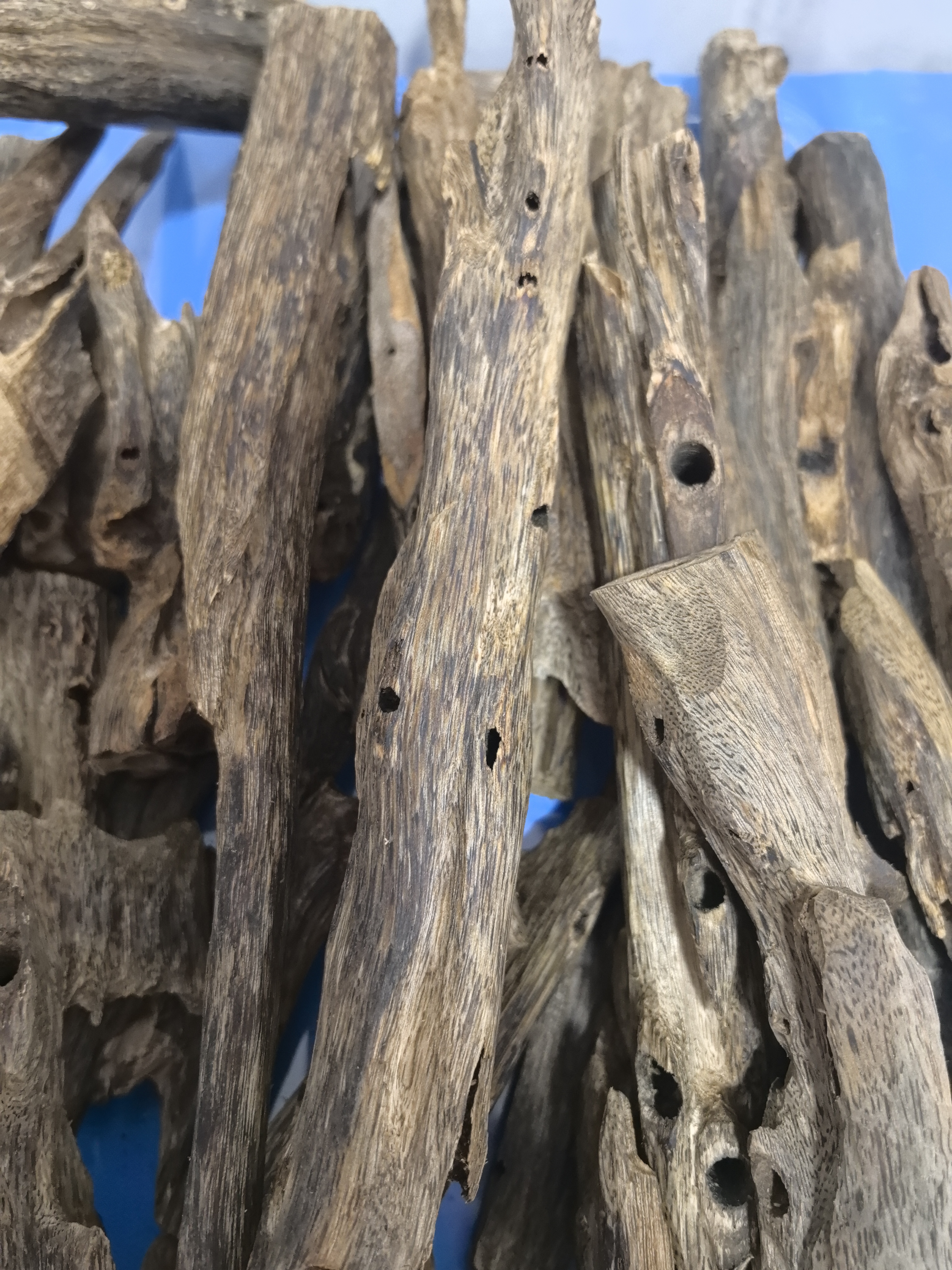沉香虫漏原材料奇楠香料上炉