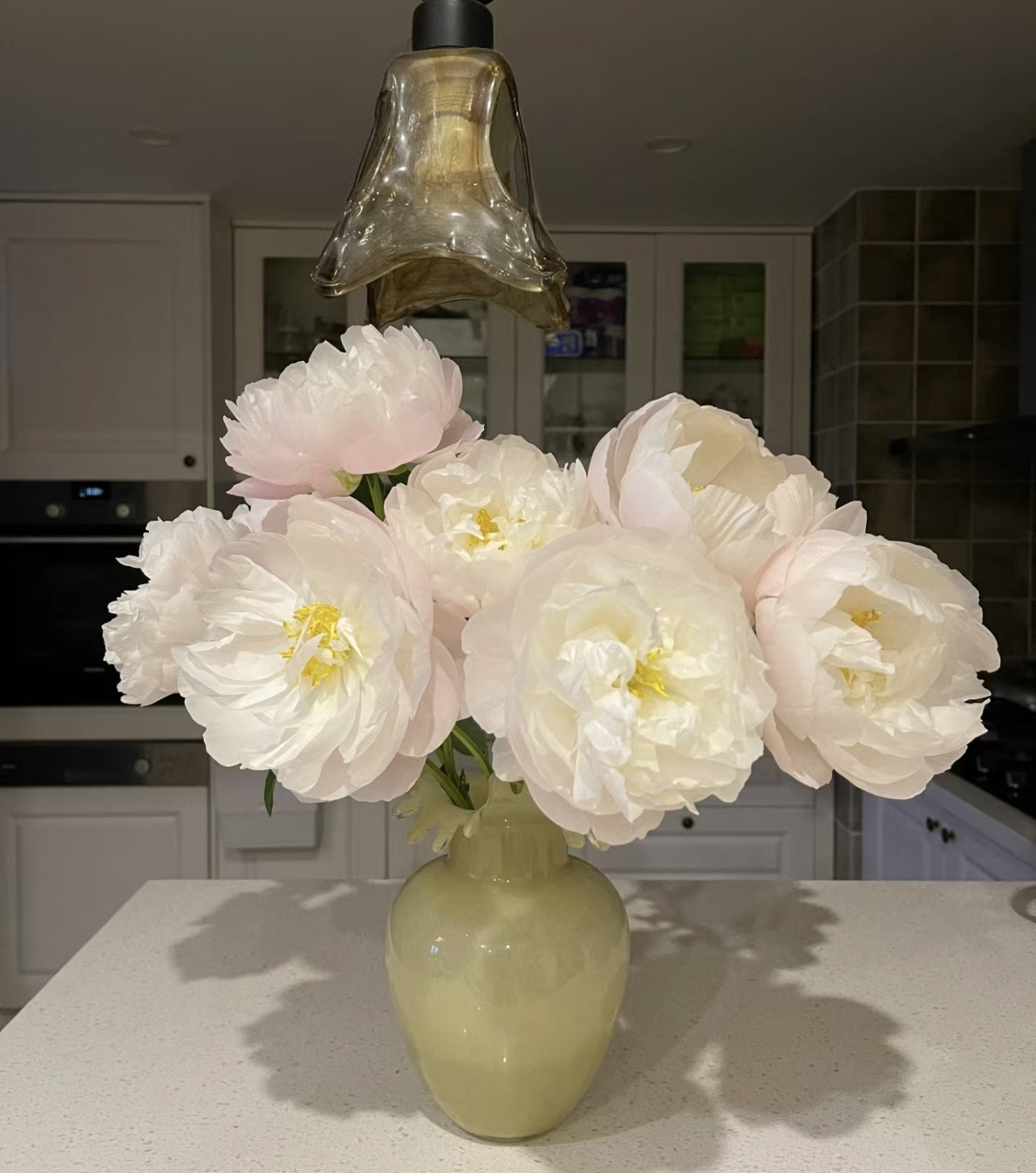 美国小姐鲜花芍药鲜切花10支顺丰包邮