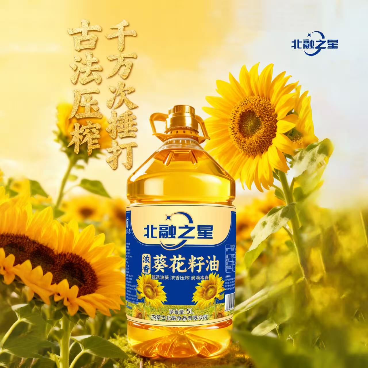 北融之星 二级浓香葵花籽油 家用食用油适合煎炸烹炒