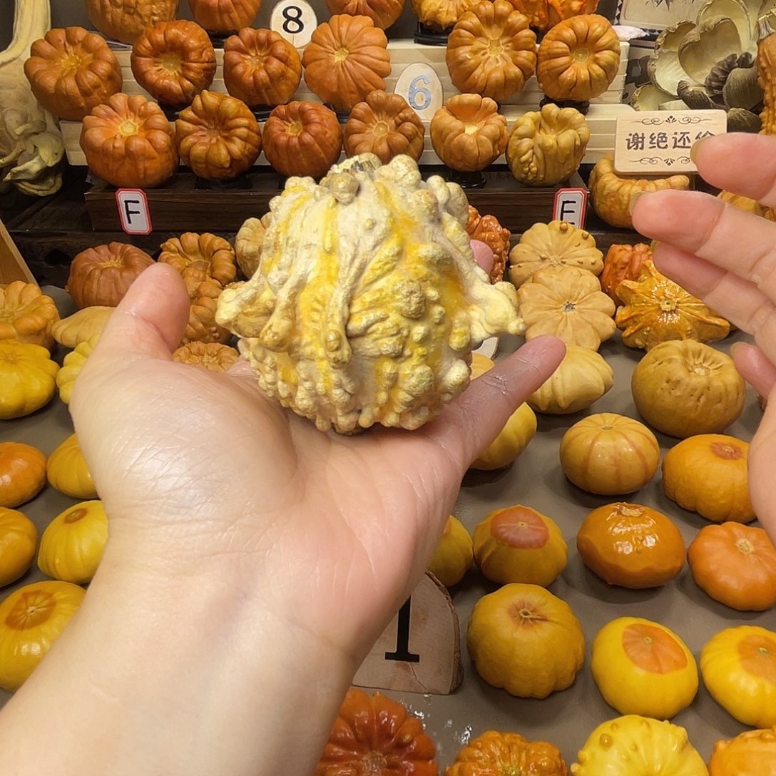 葫芦原皮原色白菜 全品