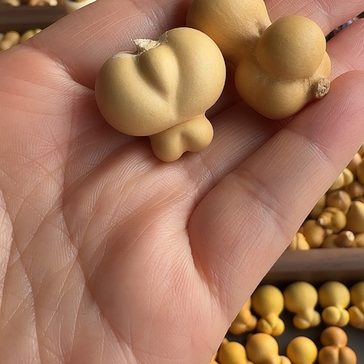 ****我的小可爱们都好可爱啊