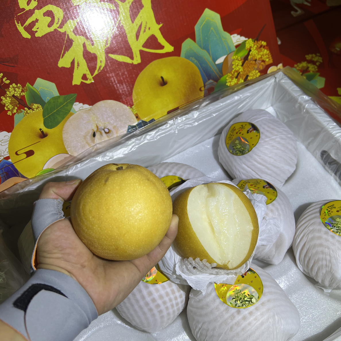 39.9/箱秋月梨礼盒装8个装（6斤装）