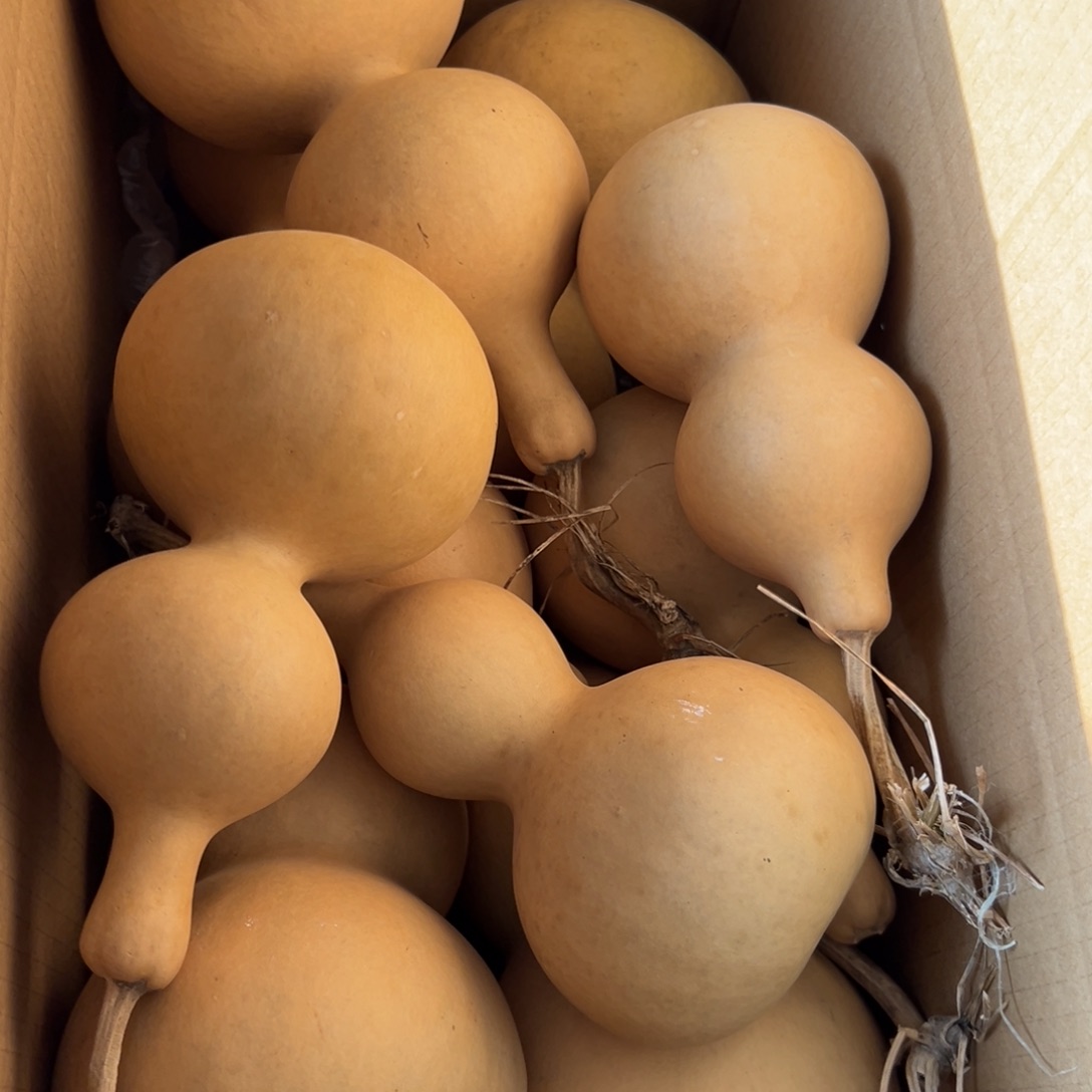 相***己有机玻璃葫芦葫芦