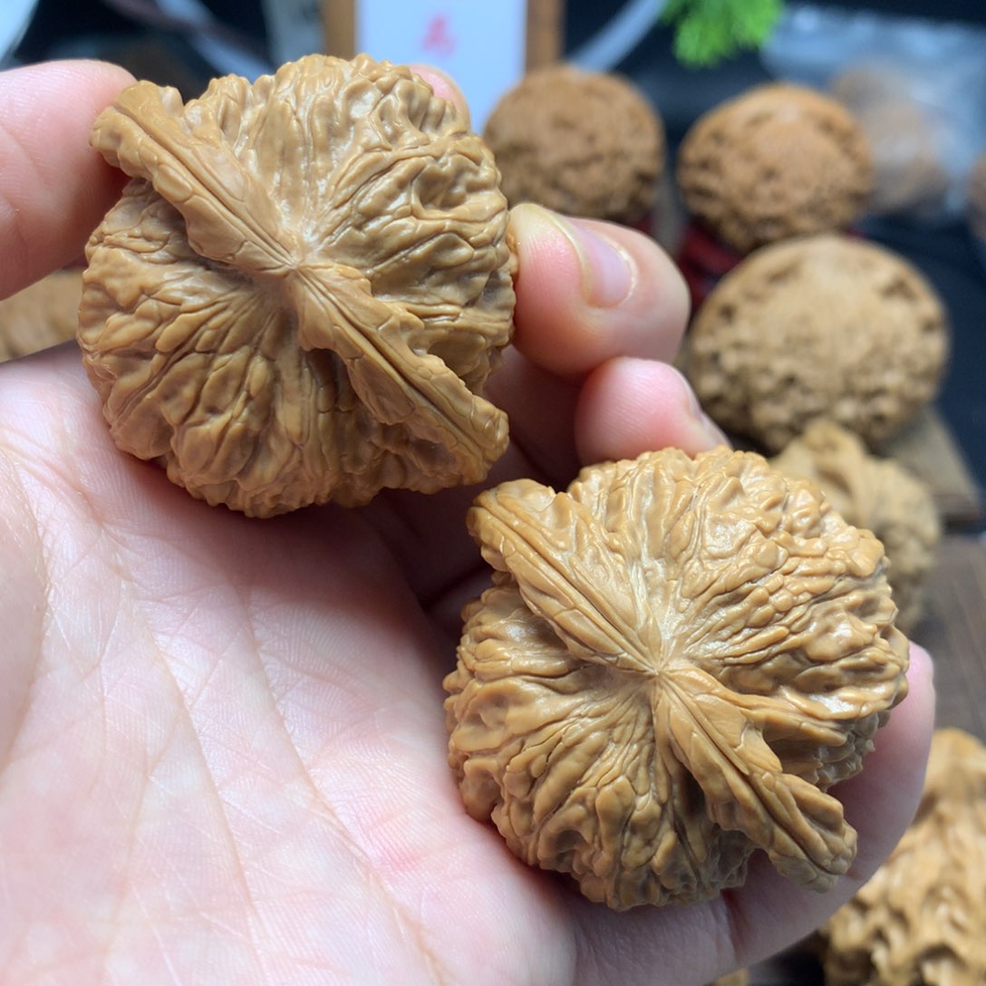 文玩核桃把件45白狮子