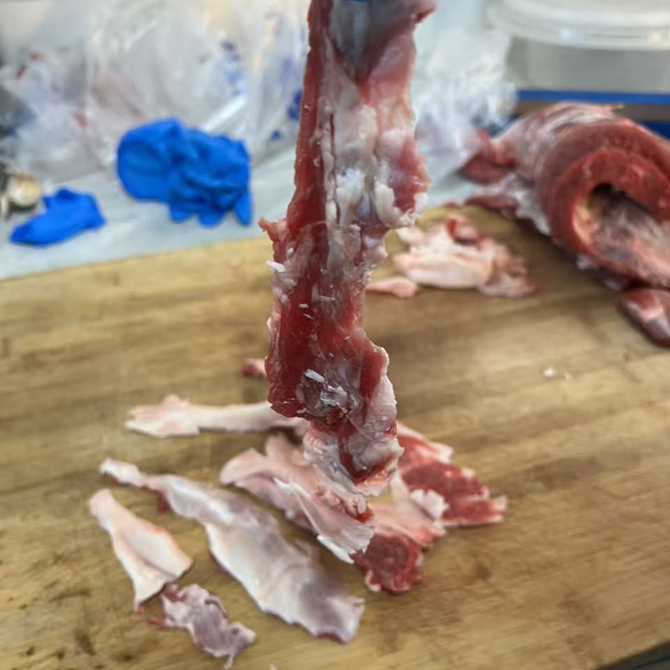 【吉小牧】外脊筋东北小黄牛自有牧场养殖谷饲满300天