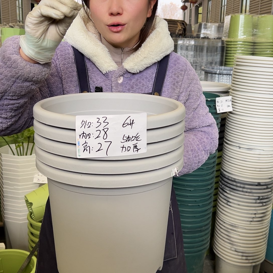 四季盆6#灰白5个无托