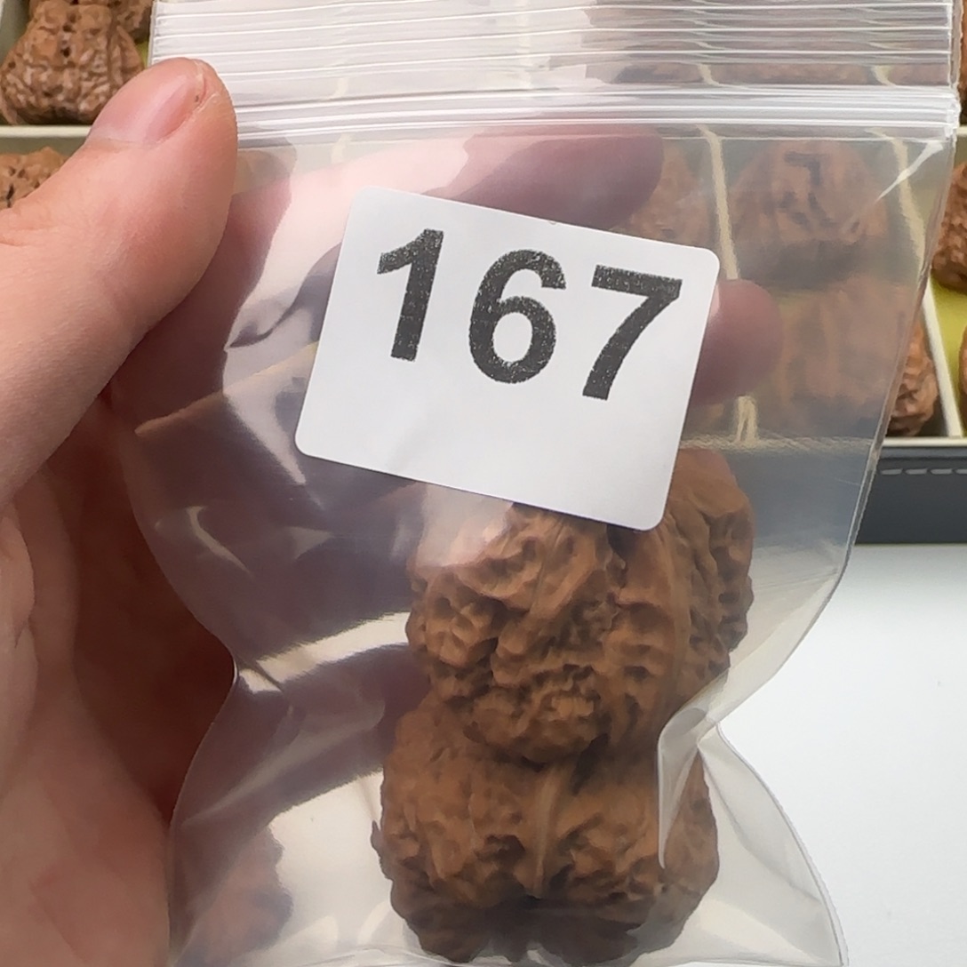 K****文玩核桃天花板37