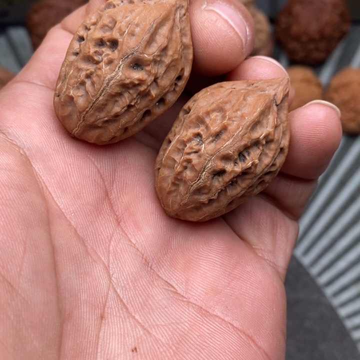 文玩核桃把件山秋子